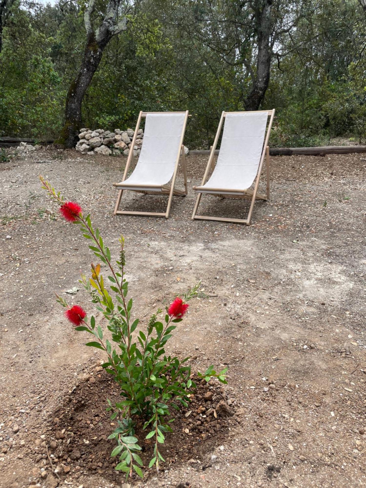 La Parenthese Du Var - Chambre D'Hotes Petits Dejeuners Inclus Et Terrasse Ombragee Saint-Antonin-du-Var Eksteriør bilde
